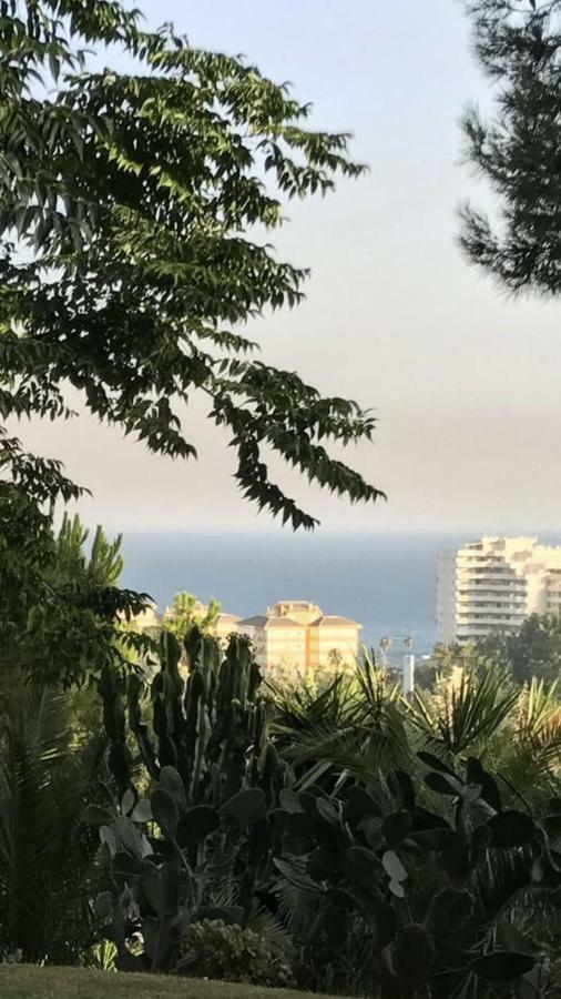 Estudio Vacacional Playa