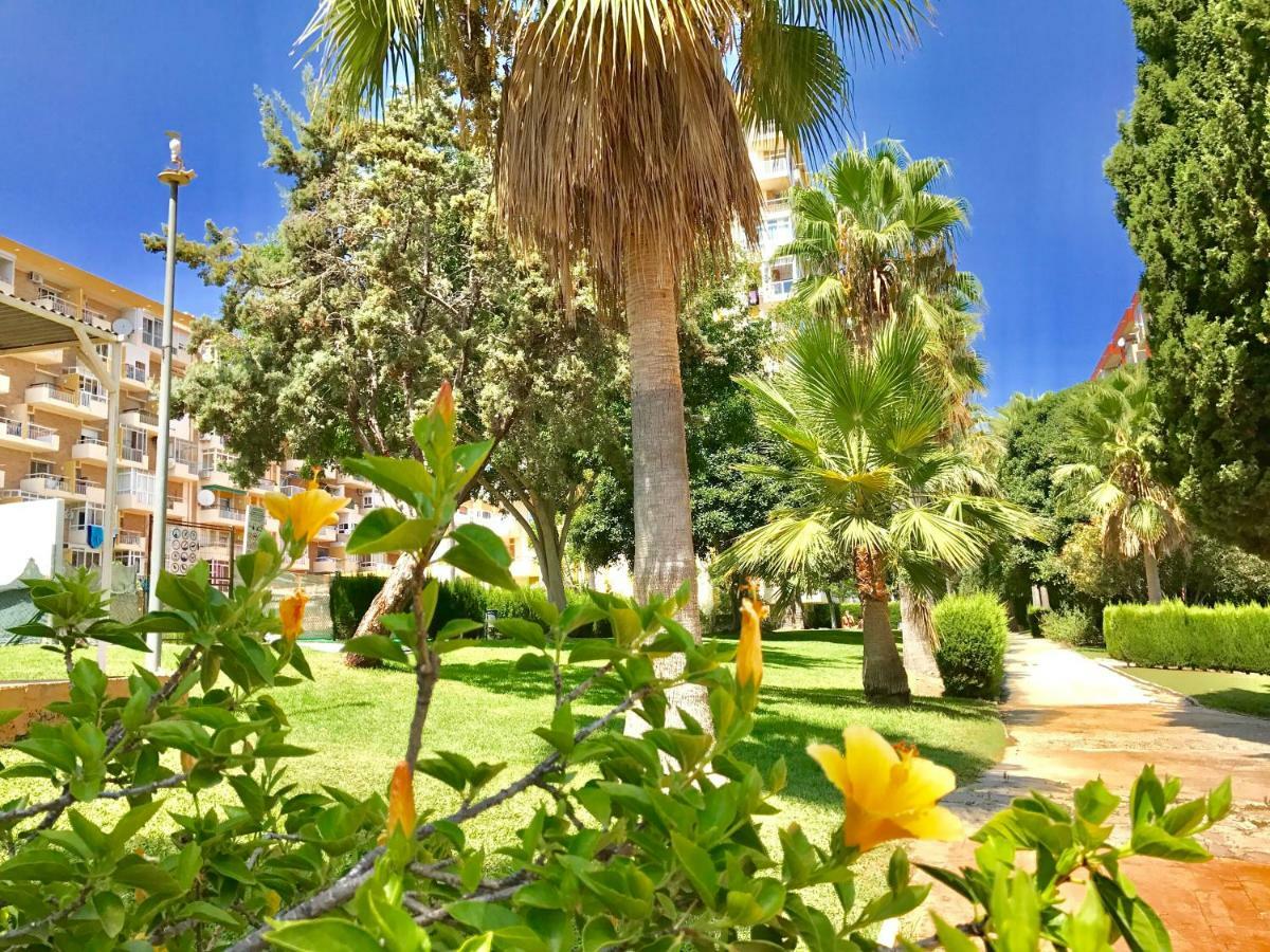 Edificio Hercules Apartment