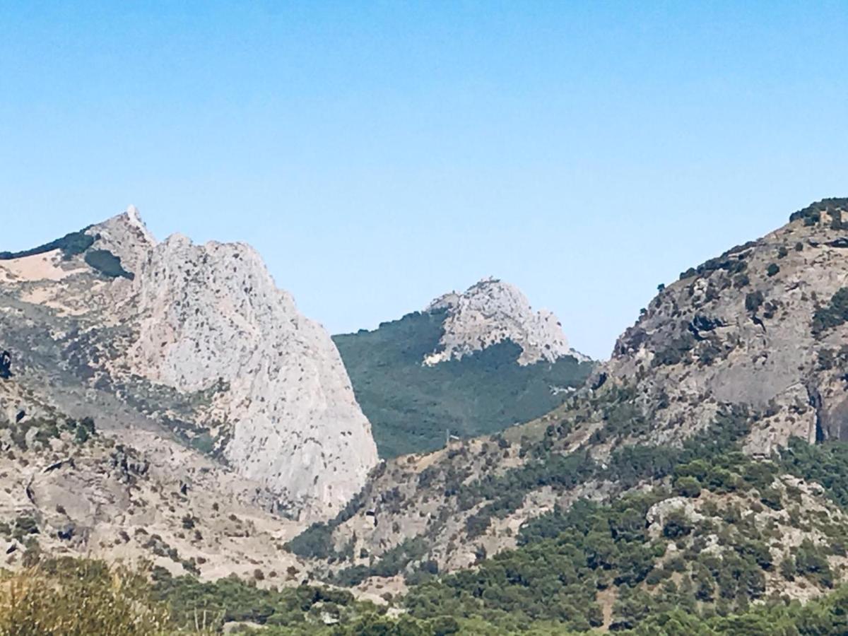 Apartamento Bajo A Avenida De Las Yedras * Benalmadena