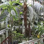 Benalbeach Complex