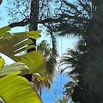 Miami Beach 39
