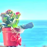 Aa Guest - The Golden Sea Views Eco Apartment
