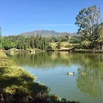 Minerva Paradise