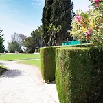 Estudio Agata 6