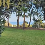 Estudio Agata 6