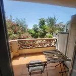 Palmeras De Erasa
