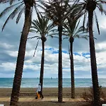 Aloha Beach Vibe
