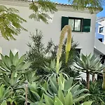 Cactus Apartment