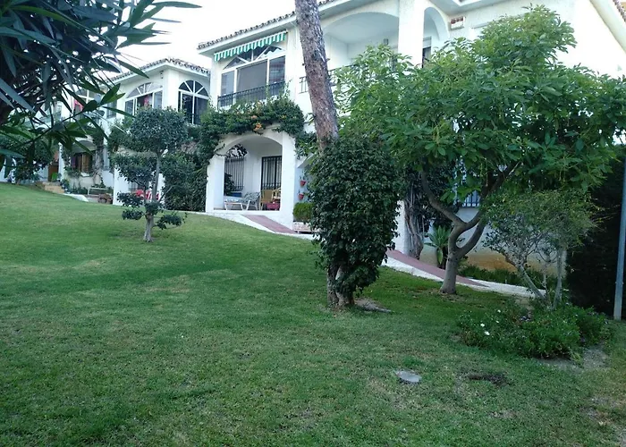 La Orquidea