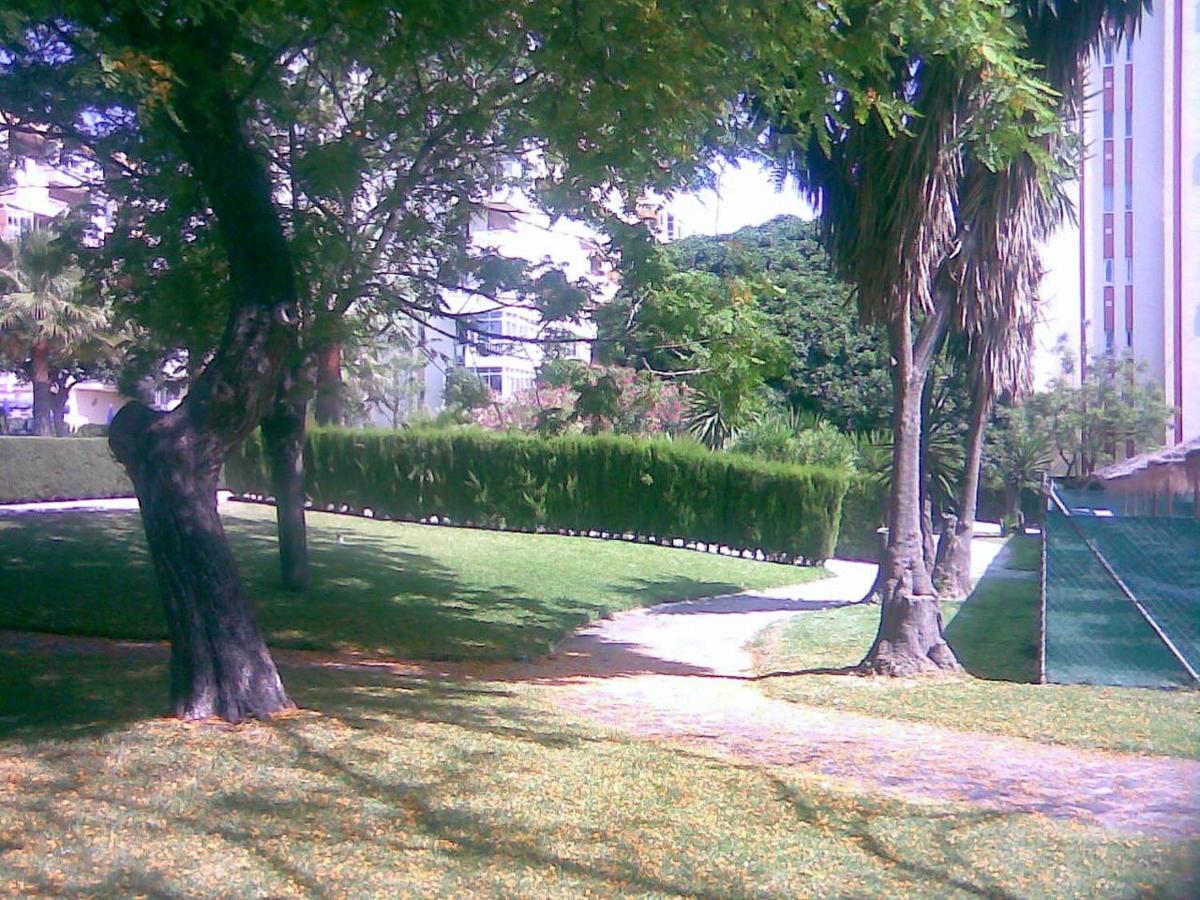 Sol Y Relax, Aguila Apartment *
