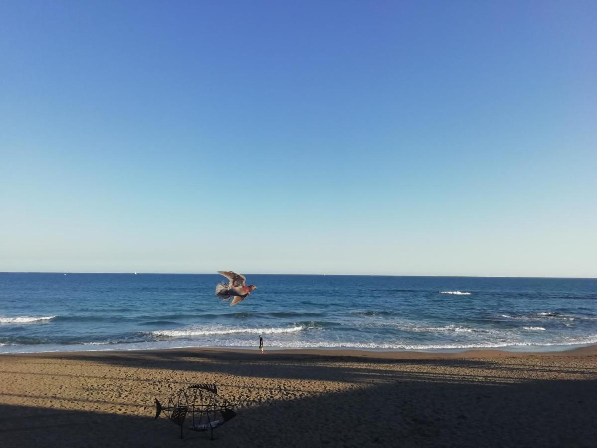 Apartment Apartamento-estudio Maite-3 *