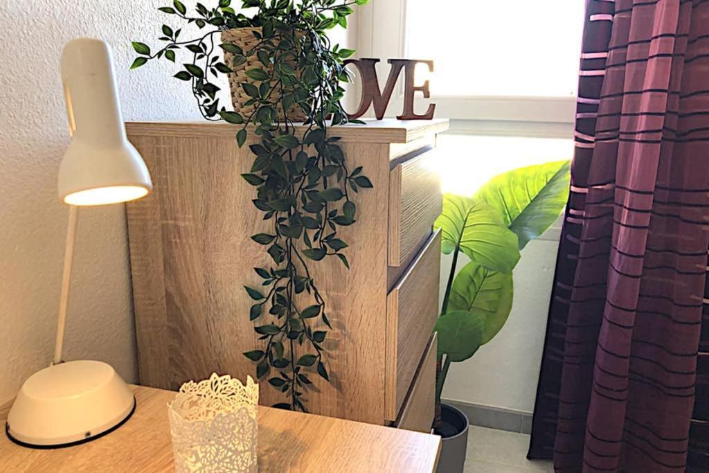 Minerva Apartamento *