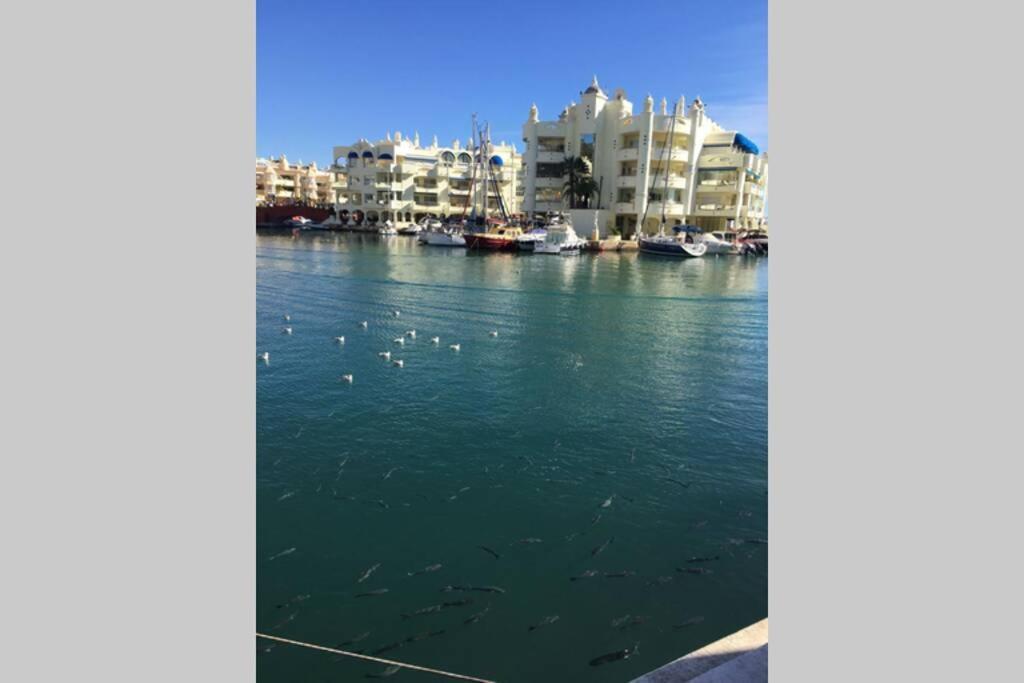 Vacaciones En Puerto Marina * Benalmadena