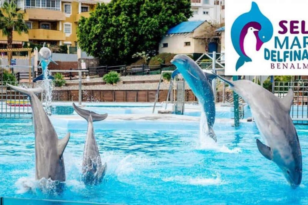 Modern Studio Near Beach. Sea, Pool And Wi-fi Apartment Benalmadena