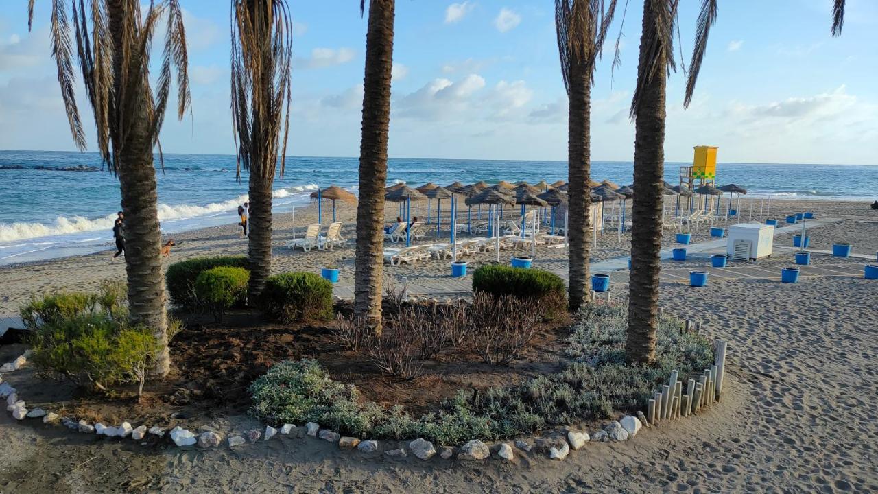 Mar Del Sur *
