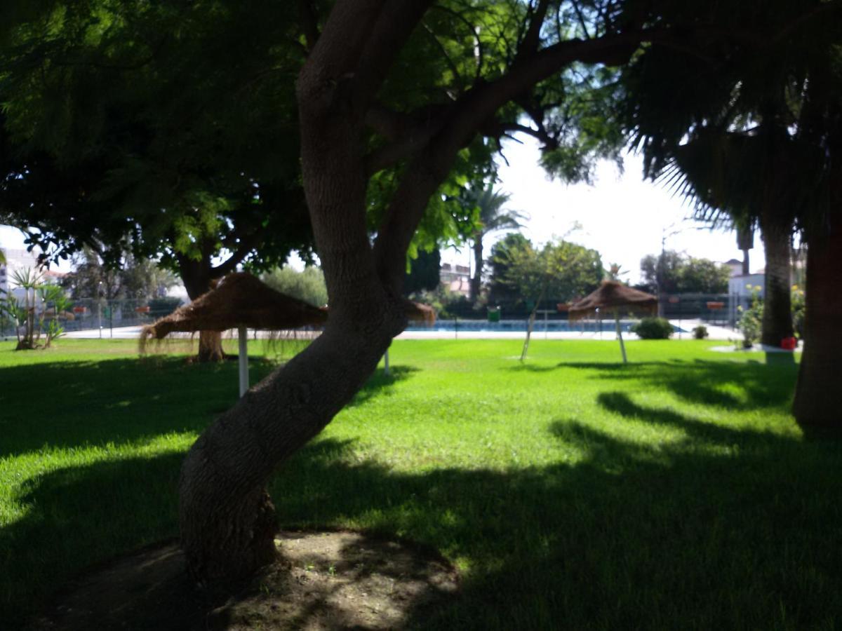 Apartment Mar Del Sur *