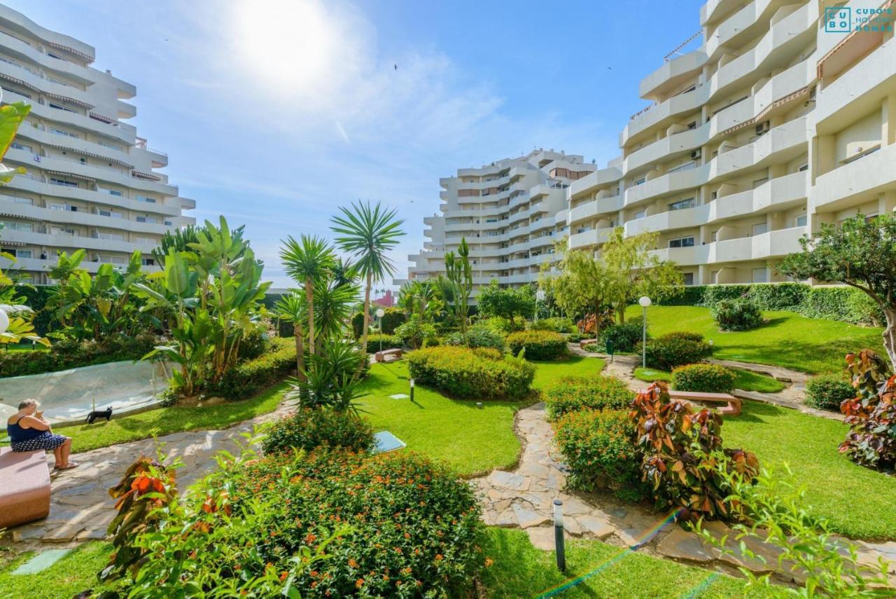 Apartment Premium In Benalbeach,
