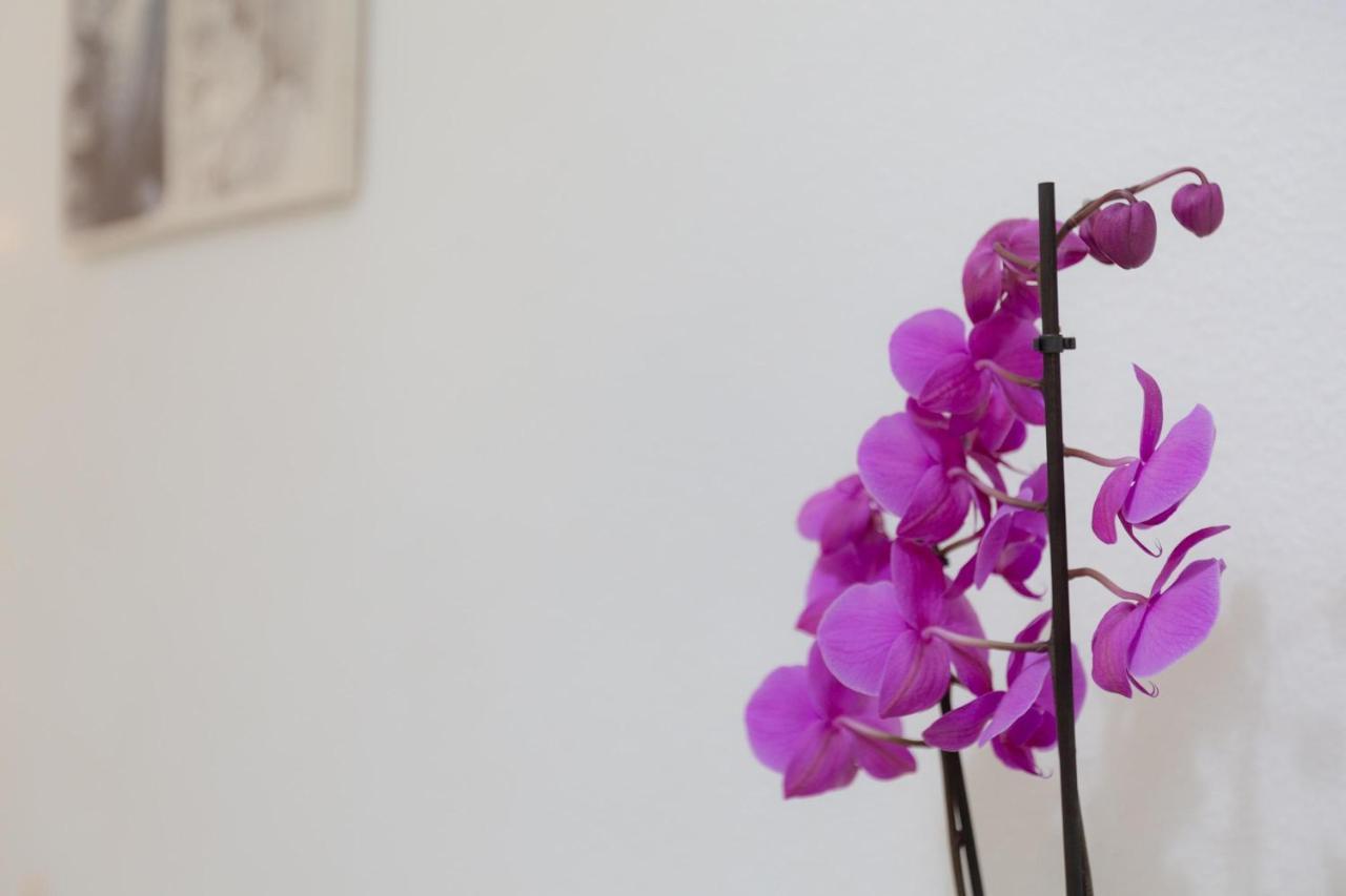 Apartment Benalmar Playa Benalmadena
