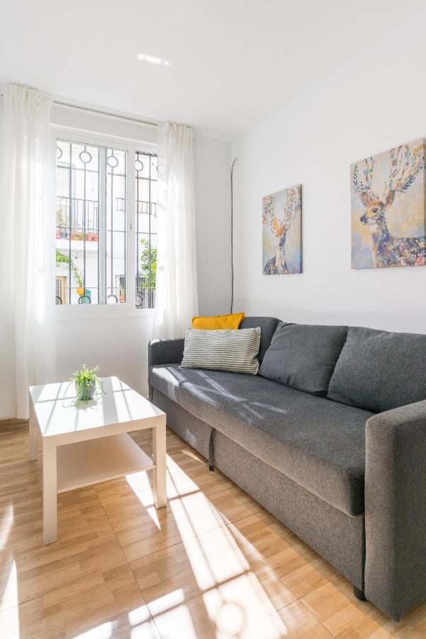 Modern Studio