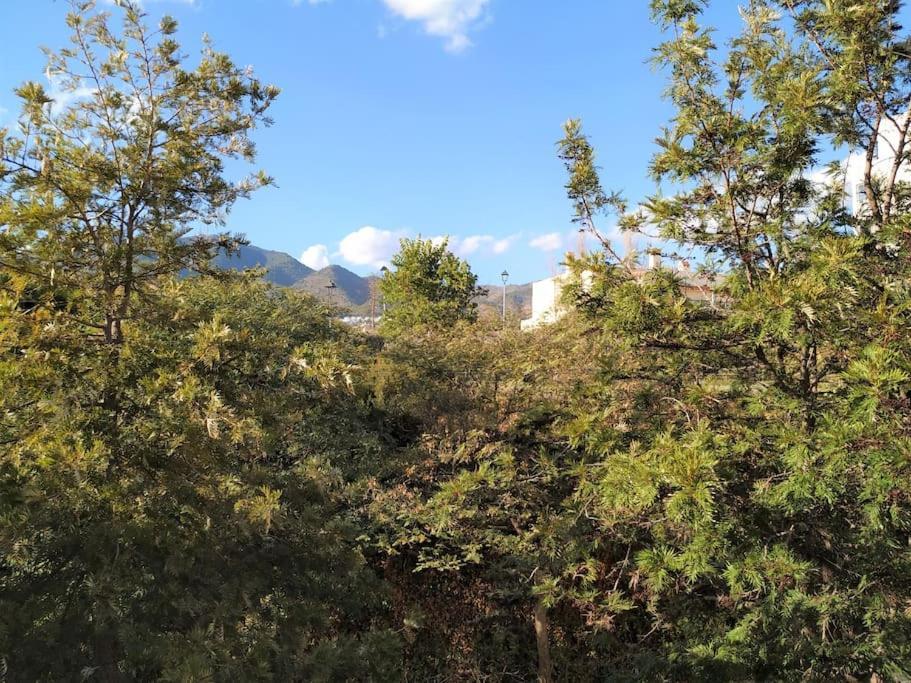 Brisa Quebrada Beach, 2 Bed, Sea Views, Pool Apartment Benalmadena