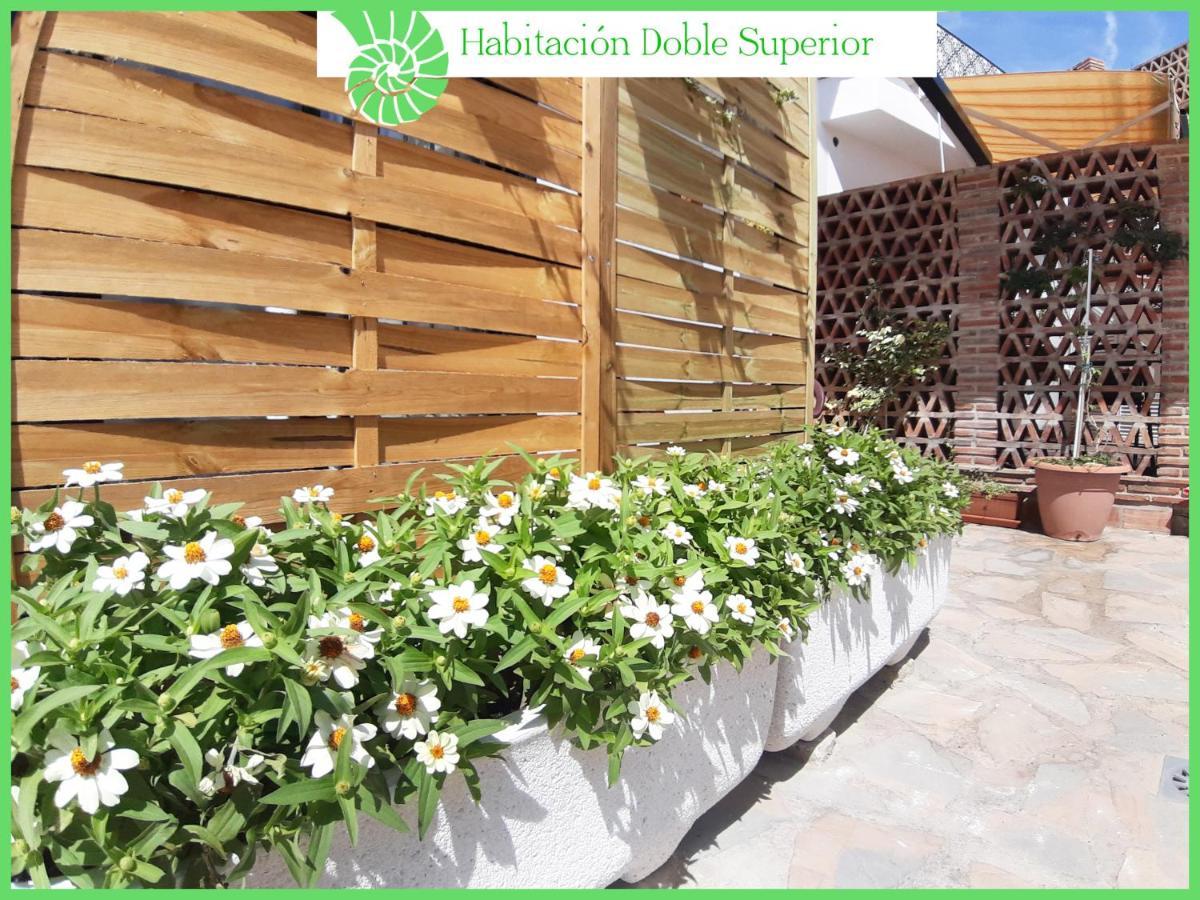 Homestay Biznaga Hols (adults Only) Benalmadena