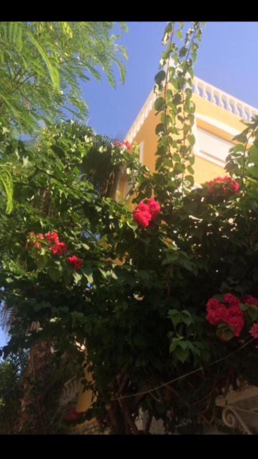 Holiday home Fredov Benalmadena