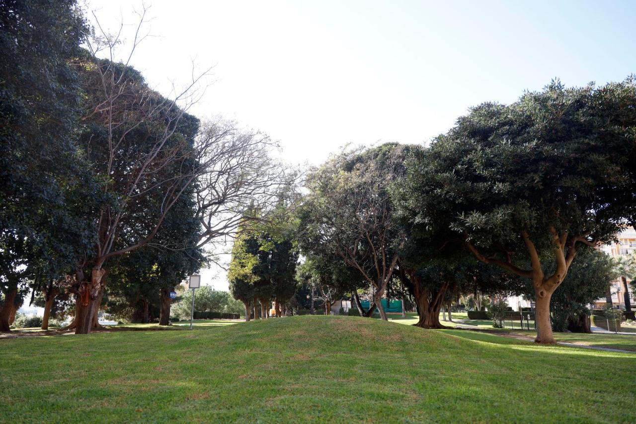 Dc * Benalmádena