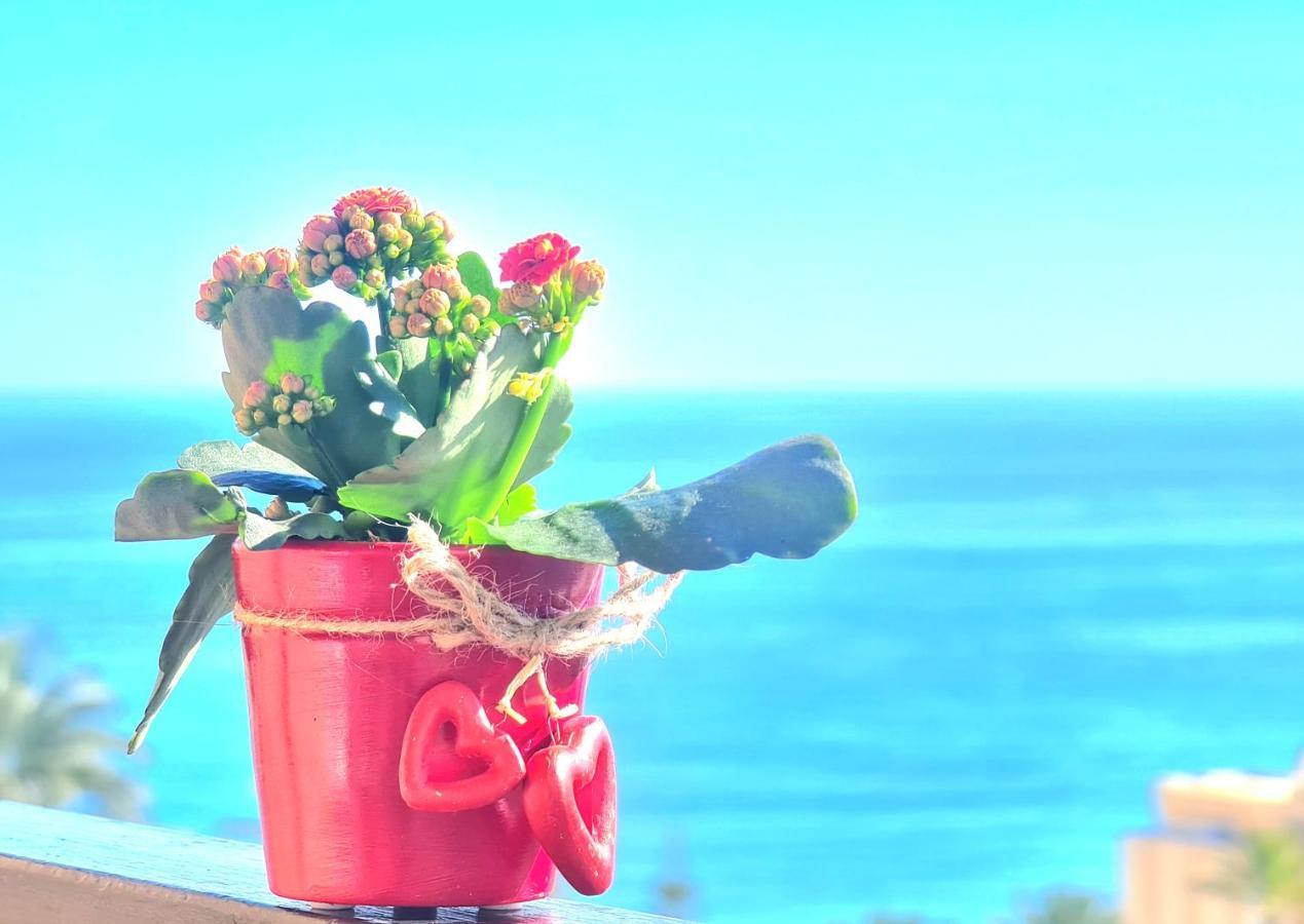 Aa Guest - The Golden Sea Views Eco