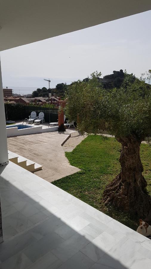 Homestay Alina