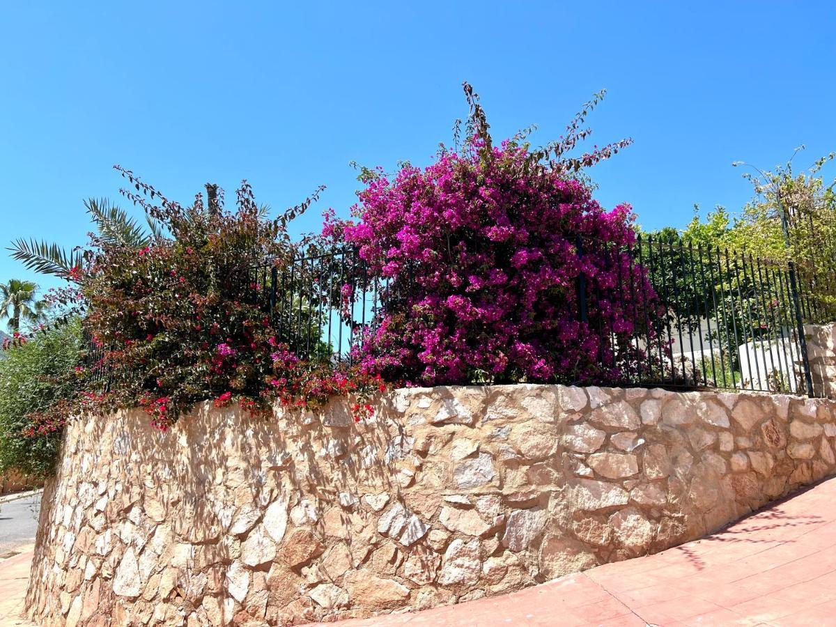Sea Breeze - Brisas Del Mar *
