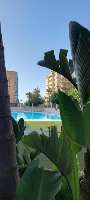 Appartement Elegante Alojamiento Con Piscina A 200 M Del Mar. Benalmádena