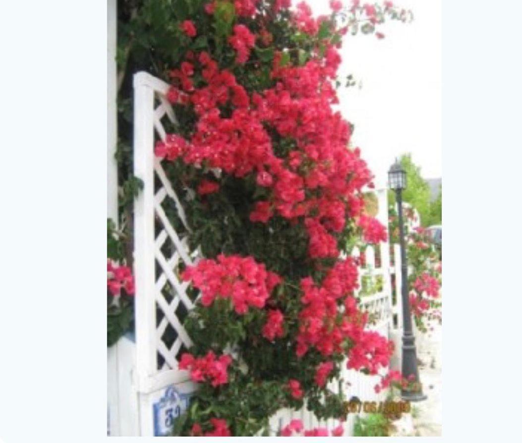 Hacienda Del Golf Holiday home