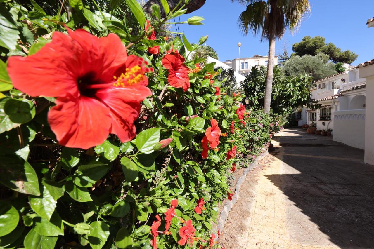 Chalet Quaint 2 Bedroom Townhouse With Pool Close To Sea! *