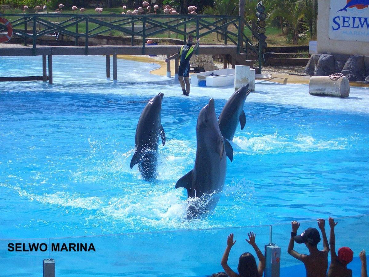 Estudio Jupiter Cerca Playa