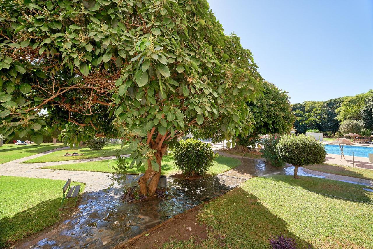 Apartment Iris Loft - Benalmadena