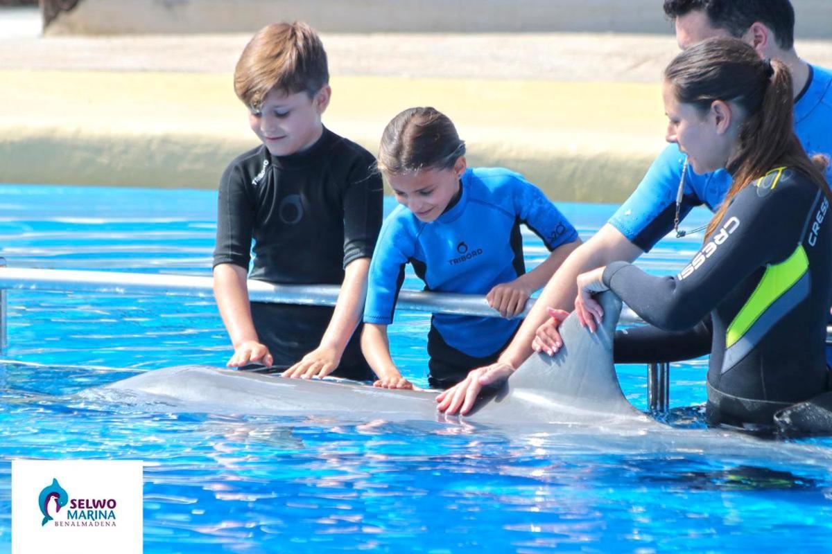Benal 2bdr Beachfront With Water Park Benalmadena
