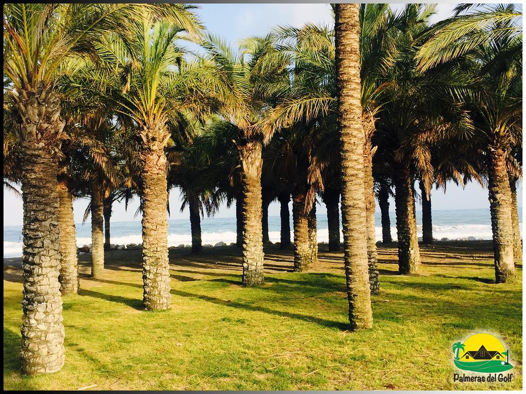 Palmeras Del Golf - Torrequebrada Apartment