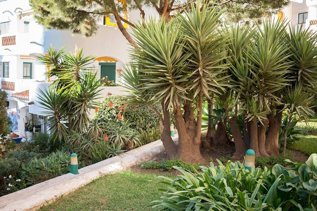 Apartment Stunning Ground Floor Apartment! *