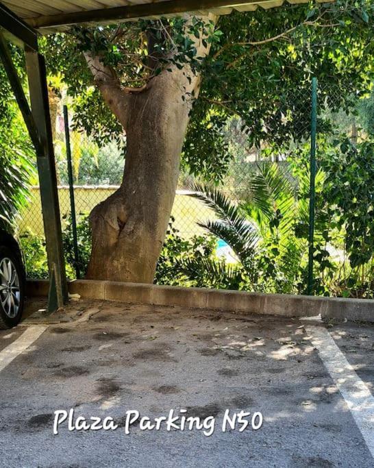 Apartment Soleado Golf Y A 900 M De La Playa *