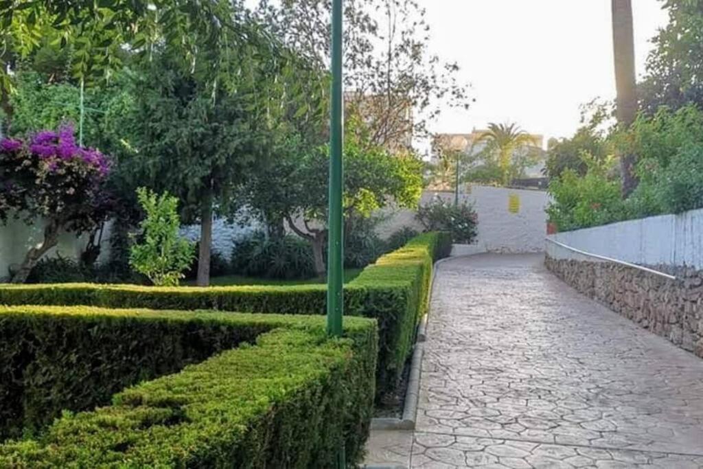 Apartment Beautiful Sea Views Cozy 350 M From *