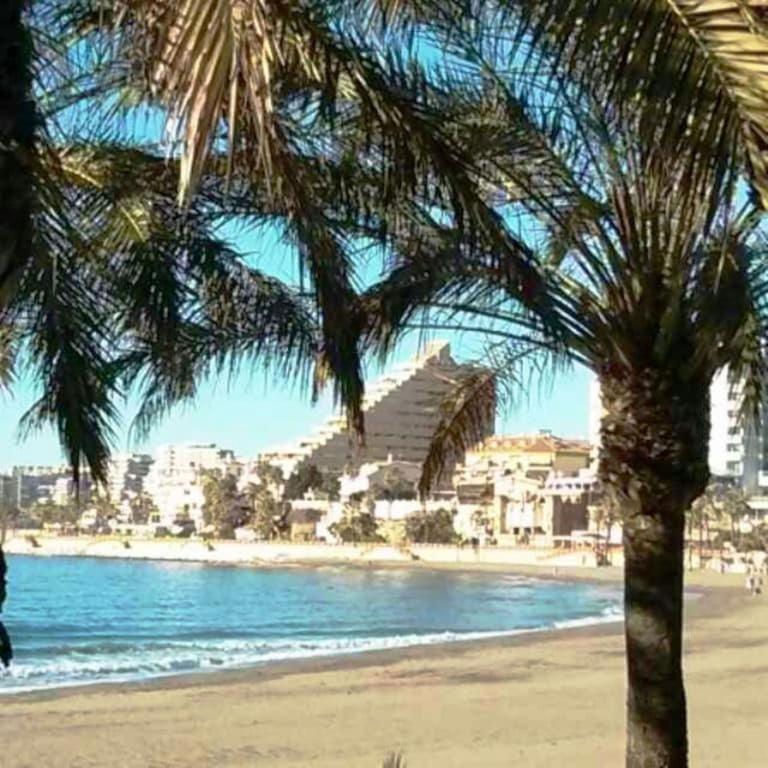 Apartment 1ª Linea Playa, Edificio Diana Ii, Wifi, Puerto Marina. *