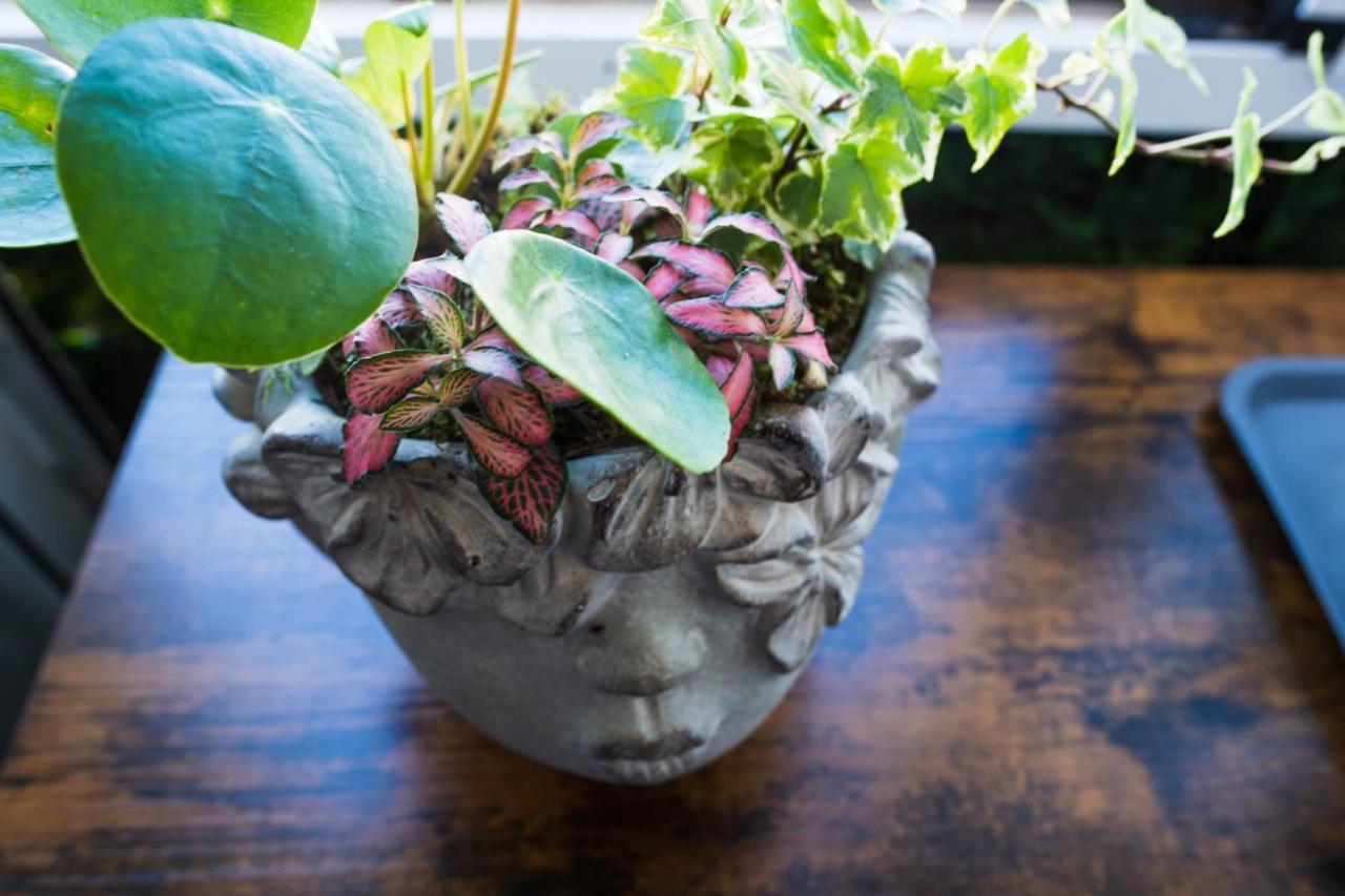 Appartement Casa Zoe - En Budha - Buenas Vibras! Edificio #lasnaciones *