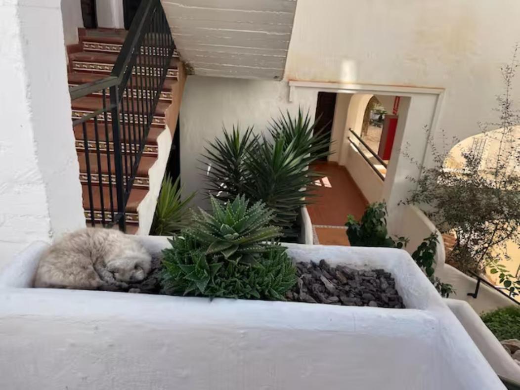 Pueblo Evita In Exclusive Complex Appartement
