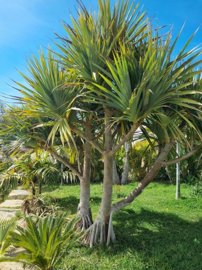 Bed & Breakfast In Eden Palm Guest house
