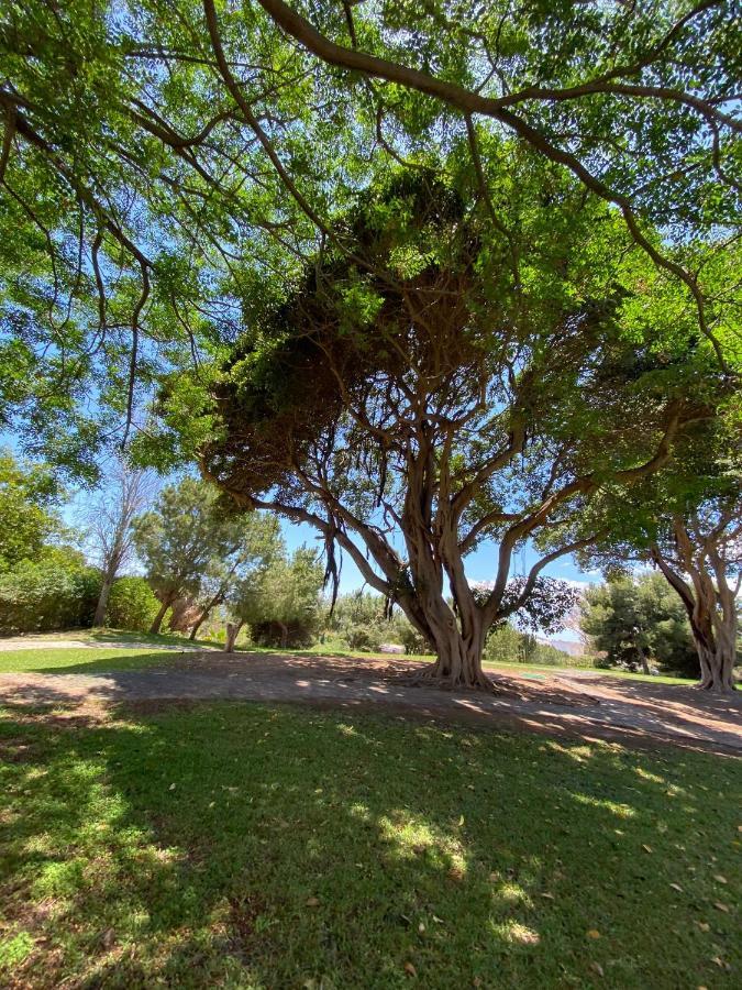 Centrico Con Vistas Y Piscinas * Benalmádena