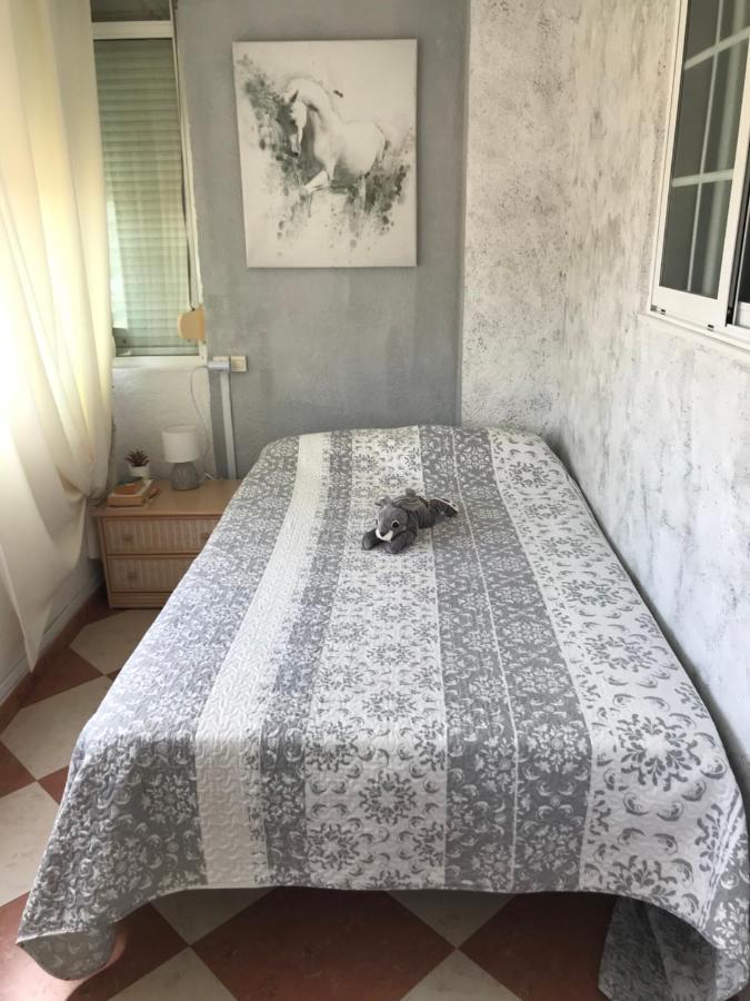 Entier Avec Vue Panoramique Appartement *