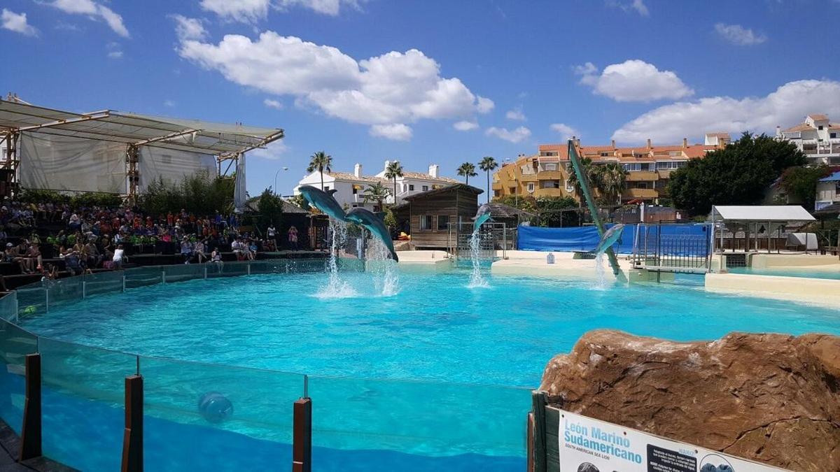 Sunny Aquario Apartment