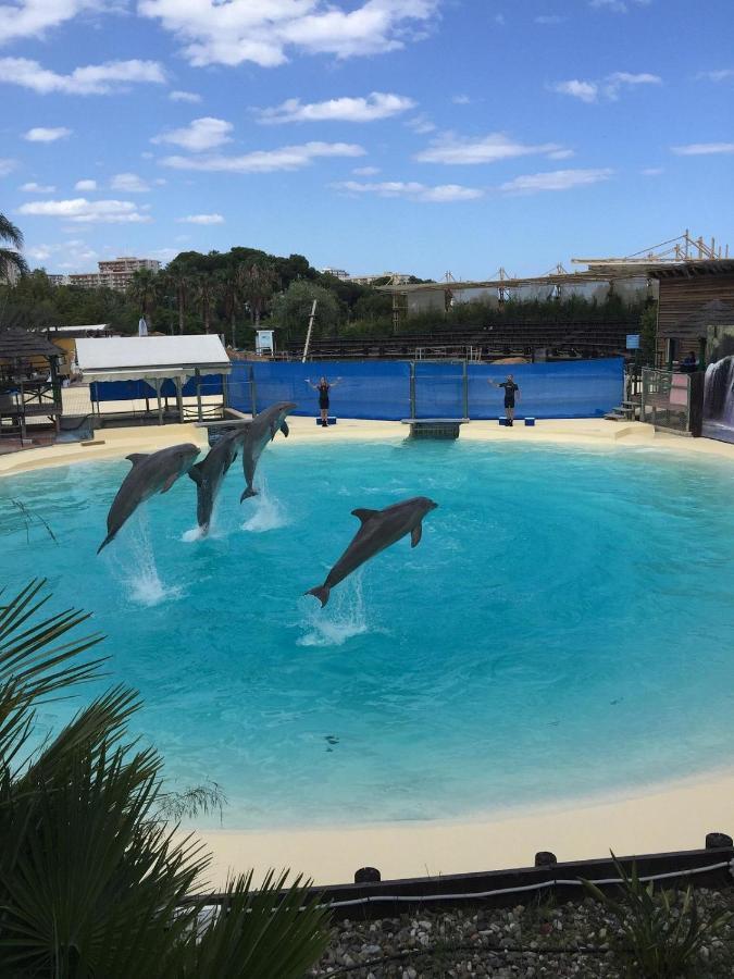 Sunny Aquario