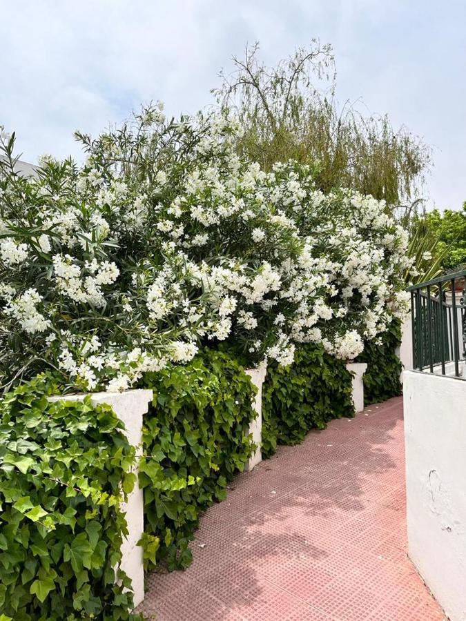 Girasoles Beach Apartment Benalmadena