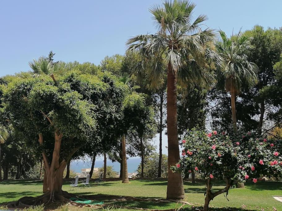 Appartement Coqueto Estudio Con Vistas A 800 De La Playa Benalmádena